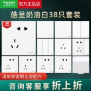 施耐德正品皓呈系列全屋套餐开关插座面板五孔插座双控开关38只装