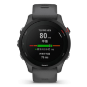 佳明（GARMIN）Forerunner255智能手表铁人三项多功能GPS多星定位心率血氧神秘灰