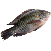 GUOLIAN 国联 三去罗非鱼 2条 共700g