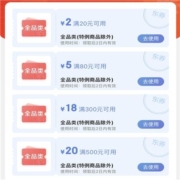 京东 省钱包 0.1元购20-2/80-5/300-18/500-20元全品券