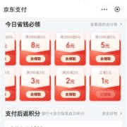 限用户：京东 满1.01-1元 支付券