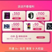 京东 白条6期免息券