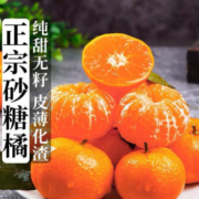 四叔公果蔬(顺丰)广西金秋沙糖桔当季蜜桔沙糖橘小桔子新鲜水果礼盒送礼砂糖 9斤彩箱送礼装 顺丰-春节不打烊
