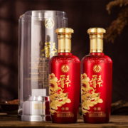 PLUS会员、需抢券：宜宾五粮液股份出品  一尊天下 浓香型白酒52度 500ml*2瓶装