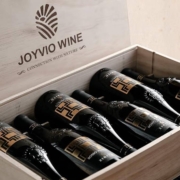 JOYVIO 佳沃 威尼托骑士半干红干木盒 750ml*6盒