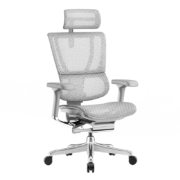 保友办公家具（Ergonor） 优旗舰 2代/w 2代 高端人体工学椅电脑椅家用电竞椅办公椅老板椅 银白(Q4.0)美国网 旗舰版