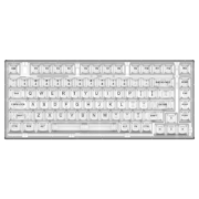 新盟（TECHNOLOGY） X75客制化机械键盘Gasket全透明热插拔凯华水母轴有线RGB游戏 白透【单模版】 盐白轴(45g段落)