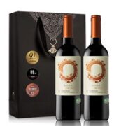 JOYVIO 佳沃 干红葡萄酒 750ml*2