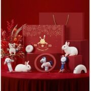 EVOCELER 伊维诗乐 新生儿早教玩具礼盒 玉兔献礼