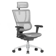 保友办公家具（Ergonor） 优b 2代 电脑椅人体工学椅家用 电竞椅办公椅子靠背椅老板椅 银白美国网【推荐款】 升级款