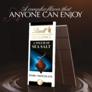 Lindt 瑞士莲 海盐特级黑巧克力 100g*12排