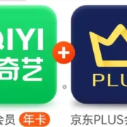 爱奇艺黄金vip年卡+京东PLUS年卡