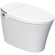 恒洁(HEGII)智能马桶坐便器Qx21 低水压新生代虹吸式多功能水净釉面抗菌喷嘴马桶HC0972 HE851A（坑距305mm）