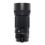 适马（SIGMA）Art 105mm F2.8 DG DN MACRO 全画幅 大光圈微距镜头 昆虫花草人像（索尼E卡口镜头）