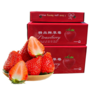 PLUS会员：静益乐源 大凉山红颜草莓 净重3斤中果礼盒装 单果13-18g