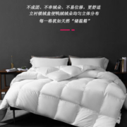 AIDLIAIDLI 羽绒被子 90%白鸭绒被冬被加厚保暖双人被芯 贵族白加厚羽绒被 220*240cm(1.8/2m床)