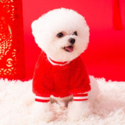 秋冬季小狗狗新年款北极绒发财舞狮绒衣猫咪两脚过年衣服宠物卫衣短云 红色发财狮子 XL(建议体重11-15斤)