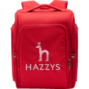 HAZZYS哈吉斯童装女童双肩背包儿童双肩包背包书包大容量孩子上学书包 经典红 双肩包