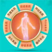 医艾康 瑞慈/慈铭/大健康 中青年体检套餐