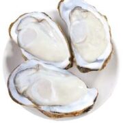 牧海翁 乳山生蚝 鲜活大生蚝 XXXXL带箱5斤