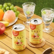 三得利 和乐怡微醺预调酒 混合水果味 350mL*6瓶