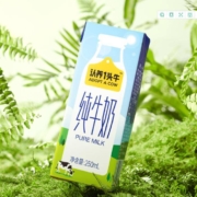 ADOPT A COW 认养一头牛 营养早餐纯牛奶250ml*20盒 *2