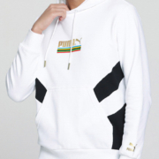 PUMA 彪马 男款连帽运动卫衣 59928702