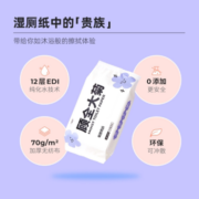 丁香医生 菊部用纸湿厕纸 60抽*4包