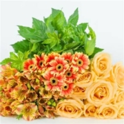 PLUS会员：REFLOWER 花点时间 鲜花套餐组合 橙色系鲜花套餐-玫瑰+六出+迷你非洲菊+枫叶