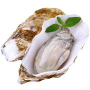 京东特价APP：鲜仙驿 乳山生蚝 净重4斤16-20个 单个90g-120g