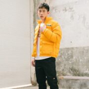 Dickies 帝客 男女同款立领羽绒夹克 DK008015