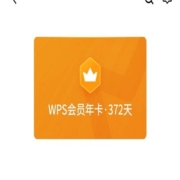 wps会员年卡372天
