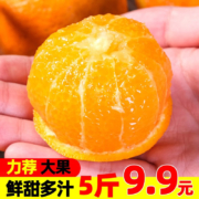 京喜APP、概率券：果果牛麻阳冰糖橙 5斤超值装(净果约4.5斤)