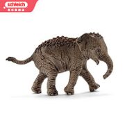 Schleich 思乐 仿真动物模型 亚洲象小象