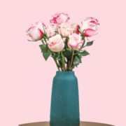 京东鲜花  稀有品种玫瑰-霓裳玫瑰10枝