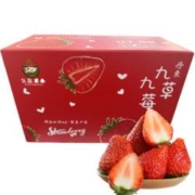 PLUS会员：丹东红颜奶油99草莓 3斤大果（25-55g）