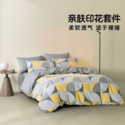PLUS会员！LOVO 乐蜗家纺 梦镜 磨毛四件套 1.5米床(被套200*230)