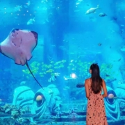 三亚超值旅游 亚特兰蒂斯+皇冠假日4天3晚奢华酒店套餐