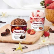 Häagen·Dazs 哈根达斯 巧克力味冰淇淋 473ml/392g*2杯