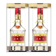 WULIANGYE 五粮液 普五 第八代 52%vol 浓香型白酒 500ml*2瓶 双支装