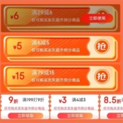 领券备用：京东 满4-3/6-5/29-6元等 超市东券