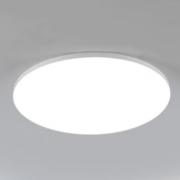 京东特价APP：TCL 玉环系列 现代简约三防灯 24W 白光 40*6cm