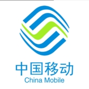 中国移动 话费充值 200元  慢充 0-48小时内到账