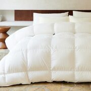 YANXUAN 网易严选 95%白鹅绒抗菌羽绒被 白色200*230cm