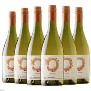 佳沃醇美汇 埃米利亚纳酒庄 珍藏霞多丽 干白葡萄酒750ml*6