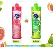 Kao 花王 除菌洗洁精 240ml