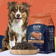PLUS会员、需抢券：Canidae 卡比 天然无谷三文鱼成犬粮 10.89kg