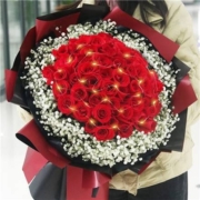 plus会员：艾斯维娜 鲜花速递 33朵红玫瑰花束女神款