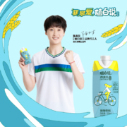 可口可乐旗下，植白说 植物蛋白/坚果燕麦乳谷物饮料 330mL*8瓶