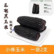 东北非转基因黑玉米糯米